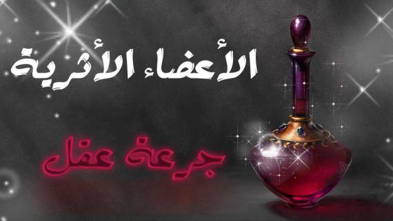 #جرعة_عقل ::: الاعضاء الاثرية:::